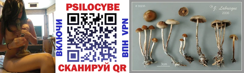 ОМГ ОМГ ССЫЛКА  Феодосия  Псилоцибиновые грибы MAGIC MUSHROOMS 